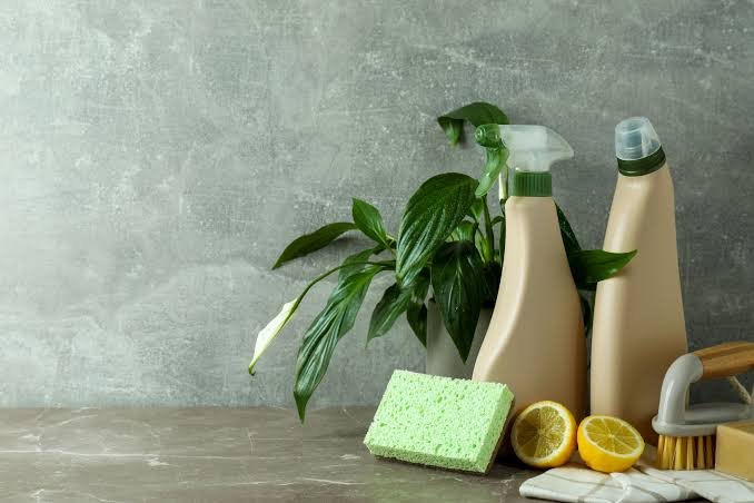 Ready to clean your home naturally