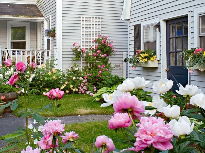 Ready to transform your backyard