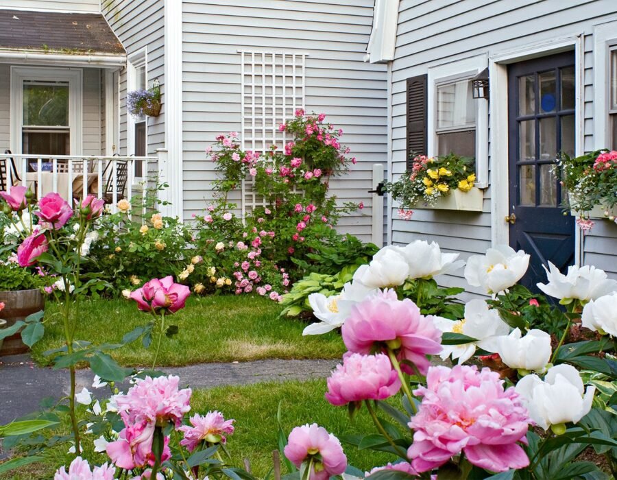 Small Backyard Garden Design Ideas on a Tight Budget