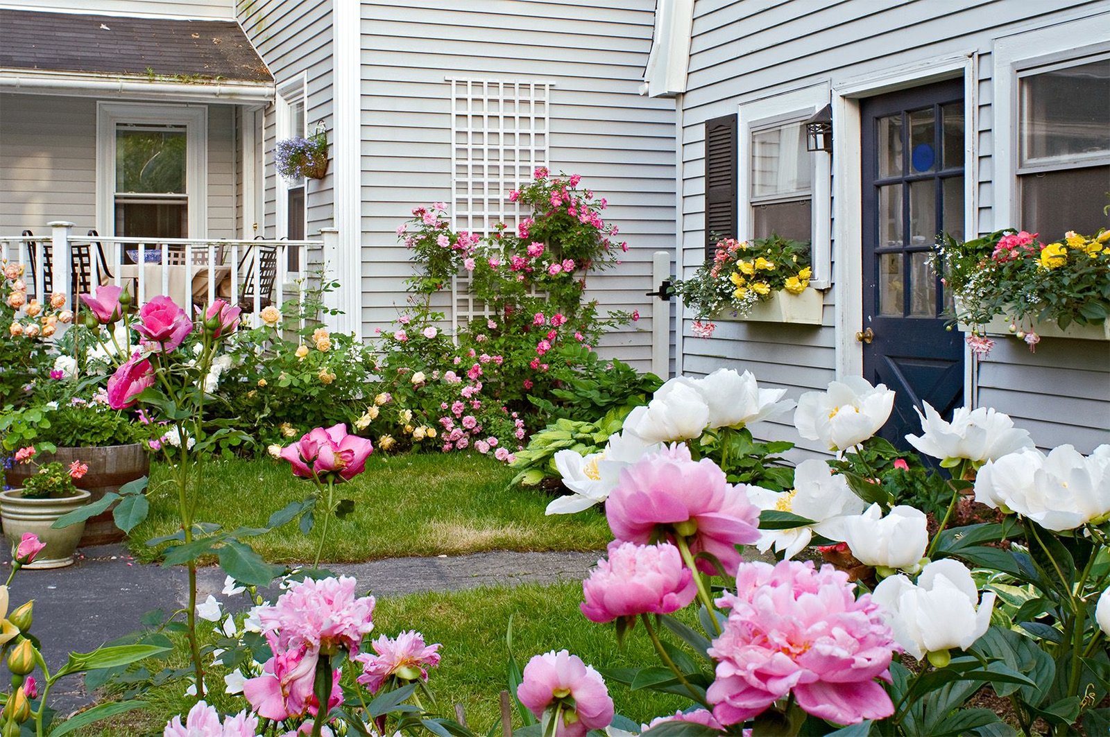 Ready to transform your backyard