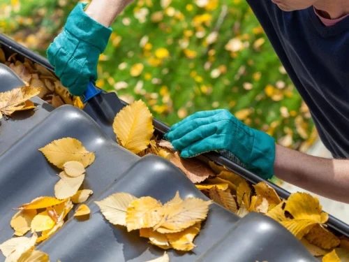 Common Home Maintenance Mistakes That Cost Homeowners Thousands